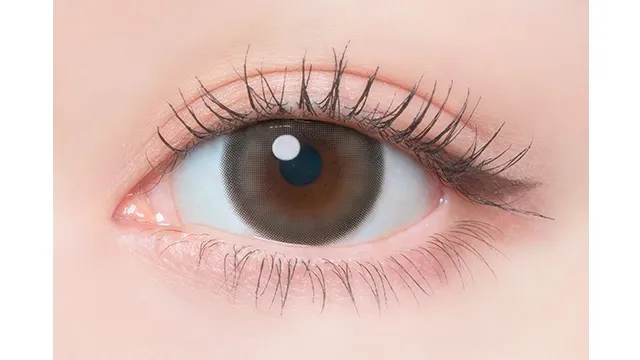 FLANMY 프랑미 1DAY 얼그레이파르페(1박스 10개들이) (FLANMY) 제품 2번째 사진