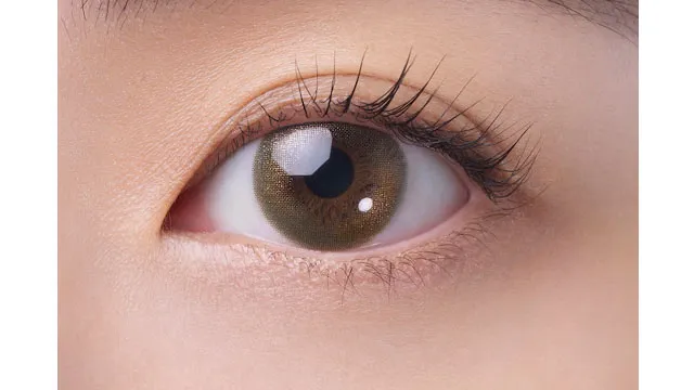 FAIRY 페어리 1DAY Shimmering 할로웜(1박스 10개들이) (FAIRY) 제품 2번째 사진