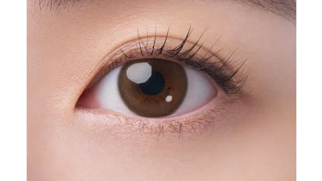 FAIRY 페어리 1Month NEUTRAL 뉴트럴브라운(1박스 2개들이) (FAIRY) 제품 2번째 사진