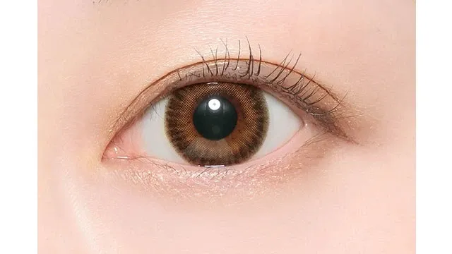 CANDYMAGIC 캔디매직 먼슬리 NEW 글래스브라운(1박스 1개들이) (CANDYMAGIC) 제품 3번째 사진