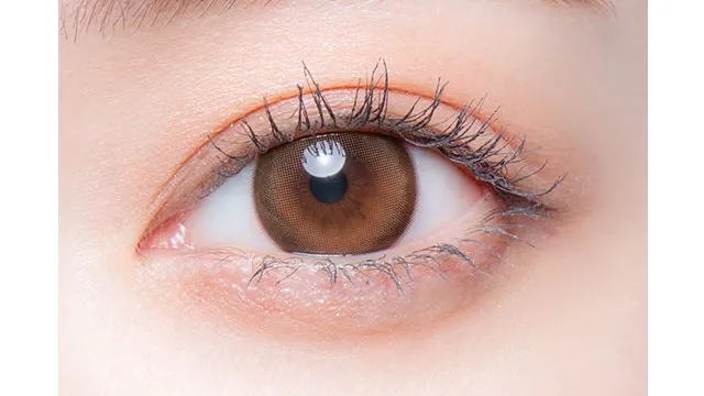 melotte 원데이 시크릿베어(1박스 10개들이) (MELOTTE) 제품 2번째 사진