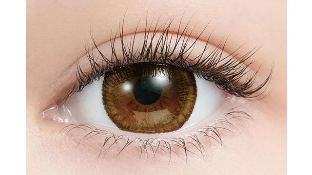 Mirage 미라주원먼스 1month 14.8mm 드레스브라운(1박스 2개들이) (Mirage) 제품 2번째 사진