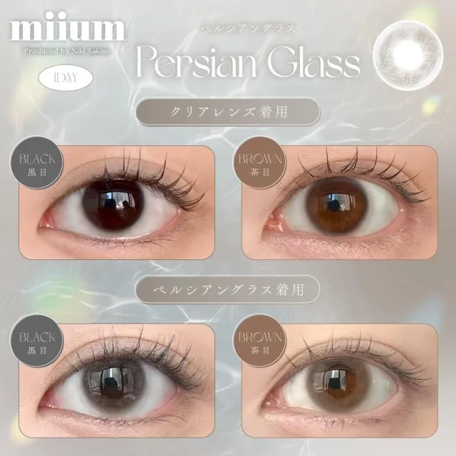miium 미움 1day 페르시안글래스(1박스 10개들이) (MIIUM) 제품 2번째 사진