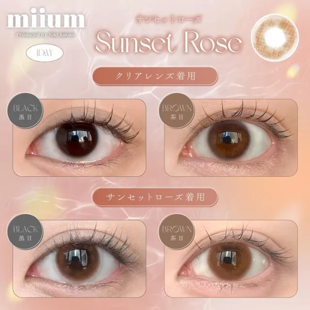 miium 미움 1day 선셋로즈(1박스 10개들이) (MIIUM) 제품 2번째 사진
