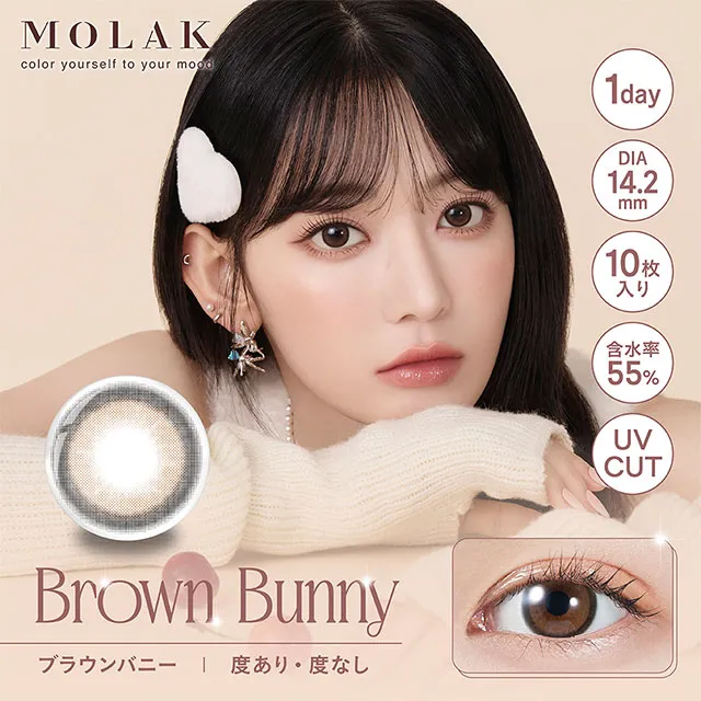 MOLAK 모라쿠 원데이 브라운버니(1박스 10개들이) (MOLAK) 제품 1번째 사진
