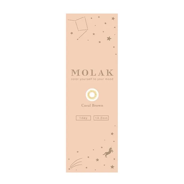 MOLAK 모라쿠 원데이 코랄브라운(1박스 10개들이) (MOLAK) 제품 4번째 사진