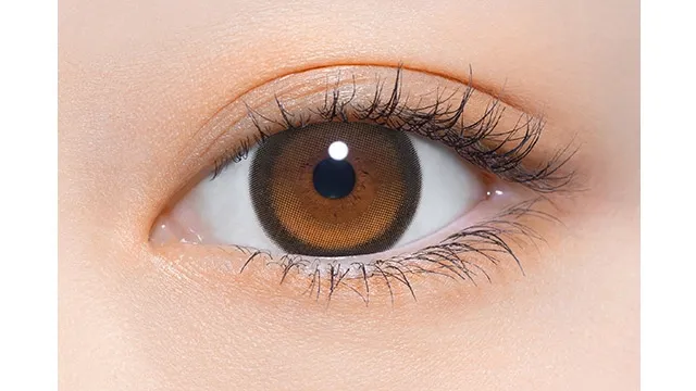 Perse 원데이 써니베어(1박스 10개들이) (Perse) 제품 2번째 사진