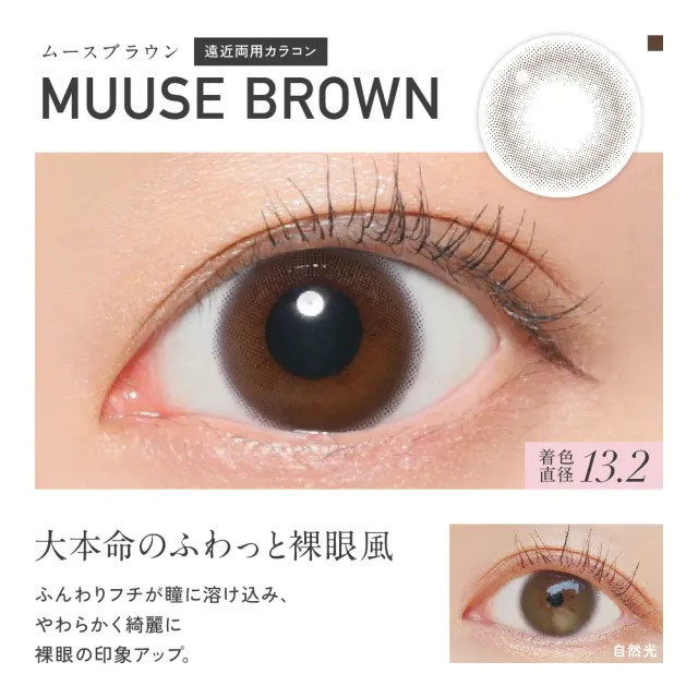 [멀티포컬] REVIA 레비아 멀티포컬 원데이(써클) 무스브라운 ADD LOW+1.25(1박스 10개들이) (REVIA) 제품 2번째 사진