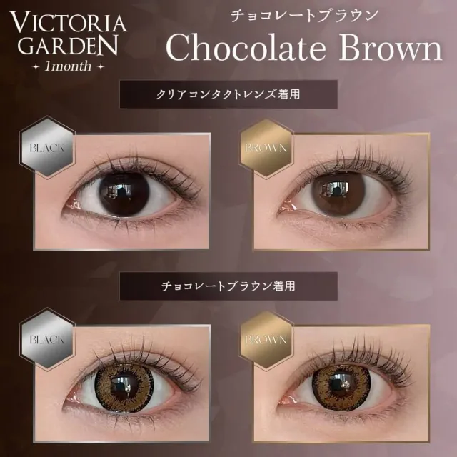 VICTORIA GARDEN 빅토리아가든 원먼스 초콜렛브라운(1박스 2개들이) (VICTORIA GARDEN) 제품 2번째 사진