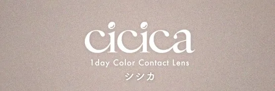 CICICA 일본 컬러렌즈 브랜드