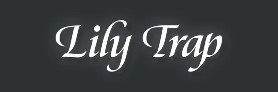 LILY TRAP 일본 컬러렌즈 브랜드