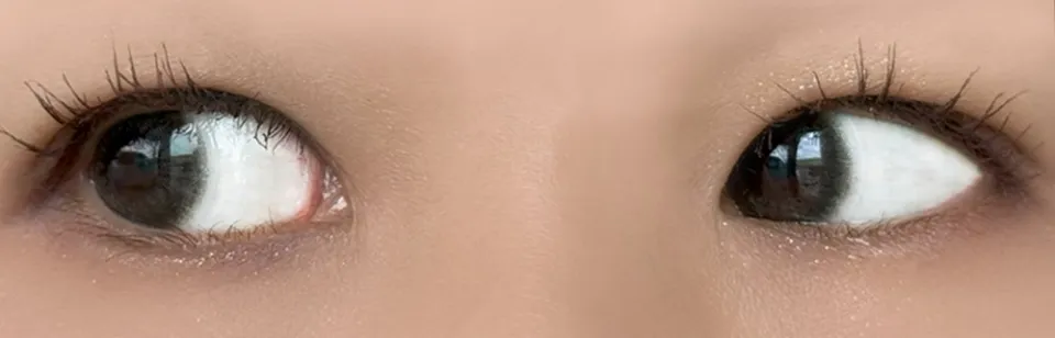 Ramurie 원데이 캄올리브 착용 이미지