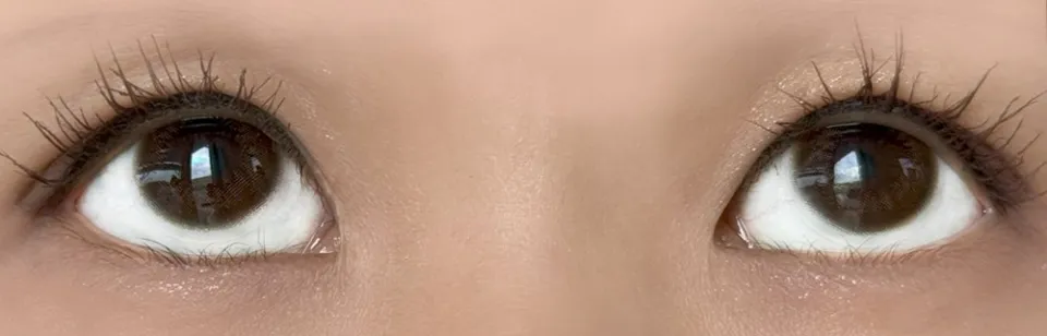 Ramurie 원데이 셰리브라운 착용 이미지