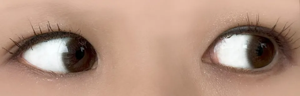 Ramurie 원데이 셰리브라운 착용 이미지