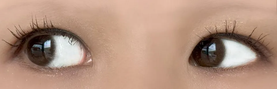 Ramurie 원데이 셰리브라운 착용 이미지