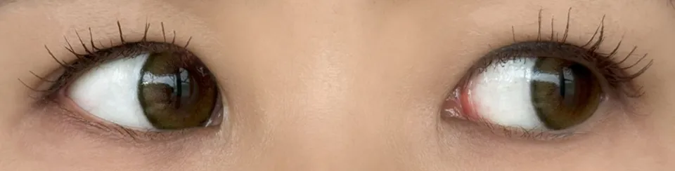 플러리원데이 라이트카키브라운 착용 이미지