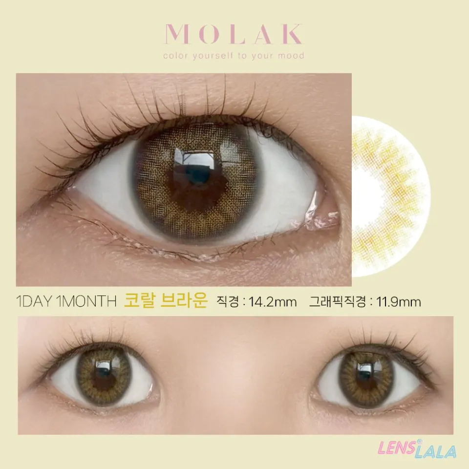 MOLAK 모라쿠 코랄브라운 컬러 렌즈