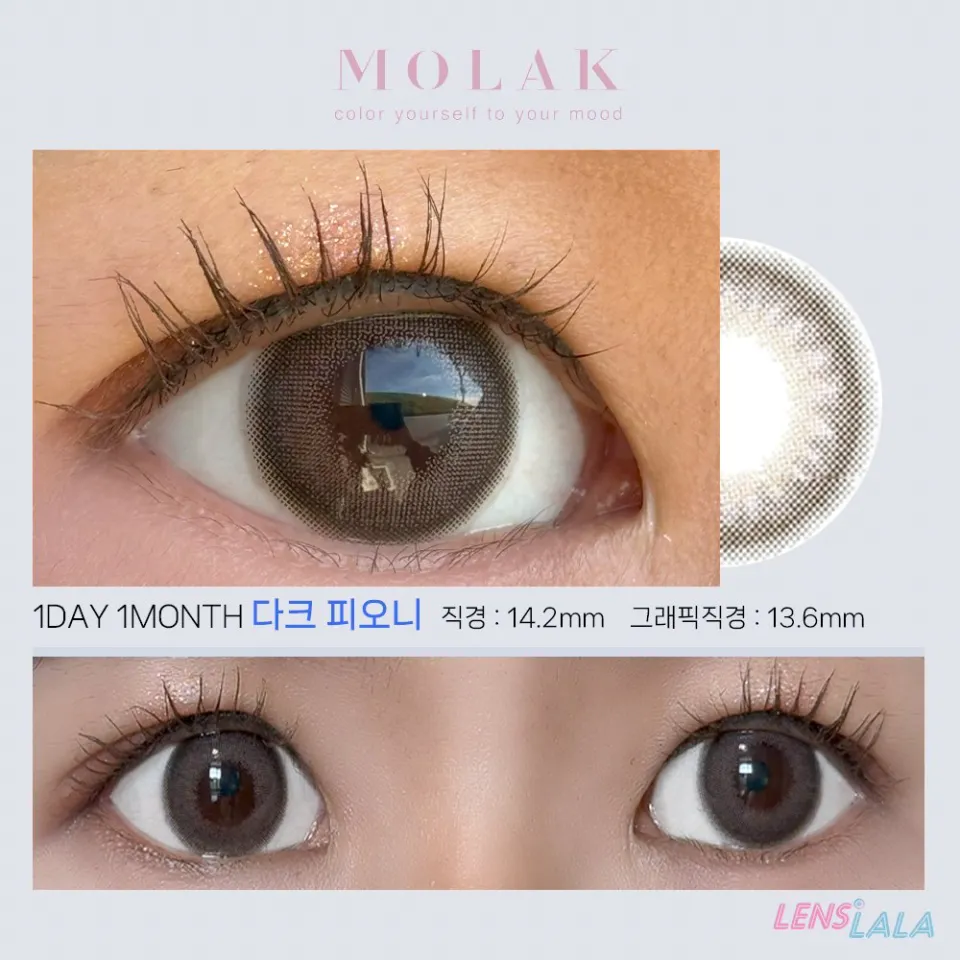 MOLAK 모라쿠 Dark Peony 다크 피오니 컬러 렌즈