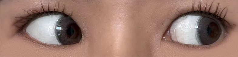 MOLAK 모라쿠 Dark Peony 다크 피오니 착용 이미지