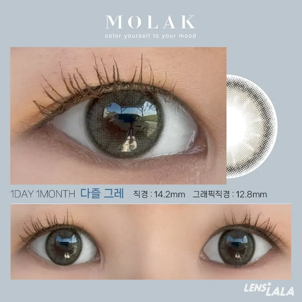 MOLAK 모라쿠 DAZZLE GRAY 다즐 그레이 컬러 렌즈