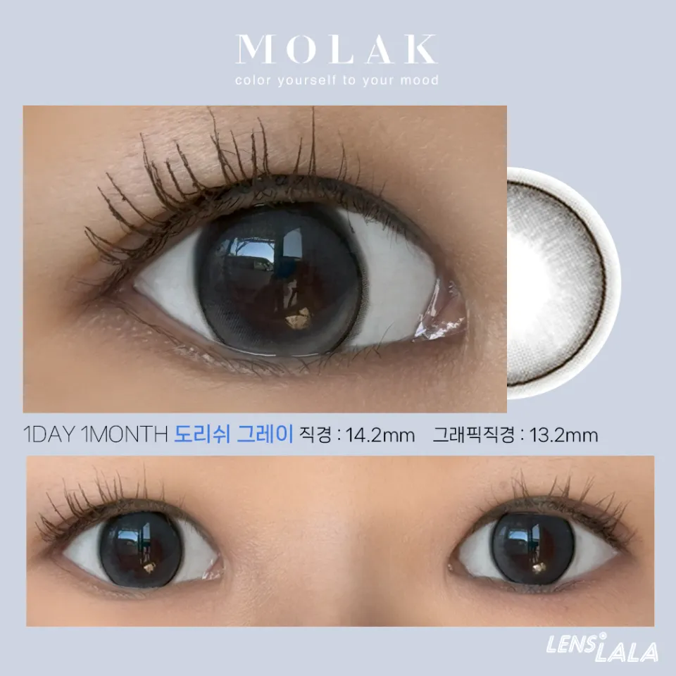 MOLAK 모라쿠 돌리쉬그레이 컬러 렌즈