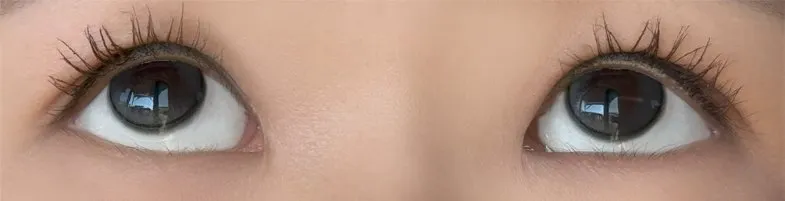 MOLAK 모라쿠 Dollish Gray 도리쉬 그레이 착용 이미지