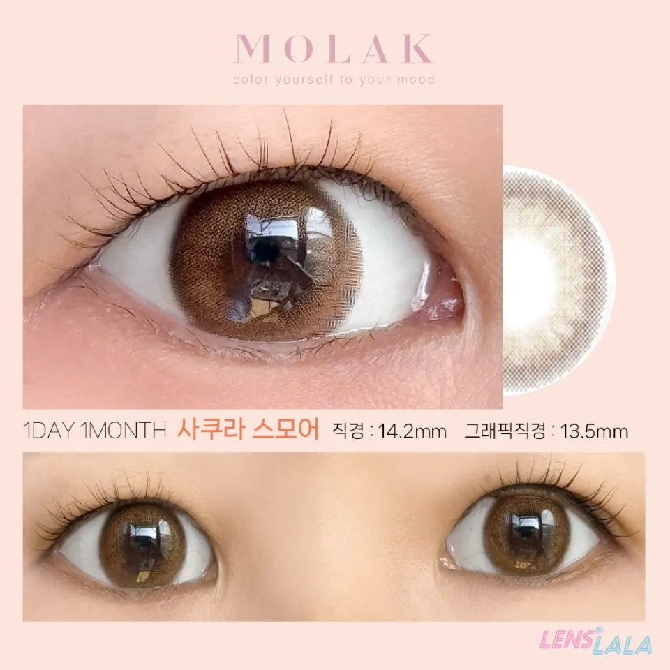 MOLAK 모라쿠 SAKURA SMORE 사쿠라 스모어 컬러 렌즈