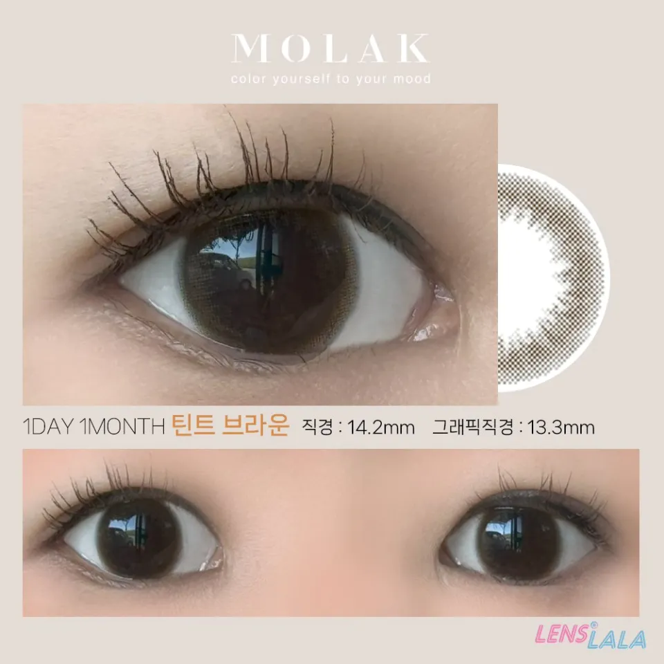 MOLAK 모라쿠 Tint Brown 틴트 브라운 컬러 렌즈
