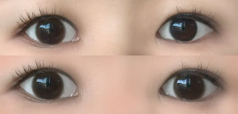 MOLAK 모라쿠 Tint Brown 틴트 브라운 착용 이미지