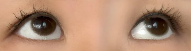 MOLAK 모라쿠 Tint Brown 틴트 브라운 착용 이미지