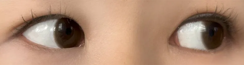 MOLAK 모라쿠 Tint Brown 틴트 브라운 착용 이미지
