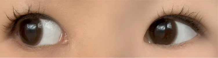 MOLAK 모라쿠 Tint Brown 틴트 브라운 착용 이미지