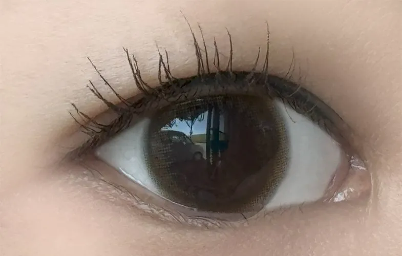 MOLAK 모라쿠 Tint Brown 틴트 브라운 착용 이미지