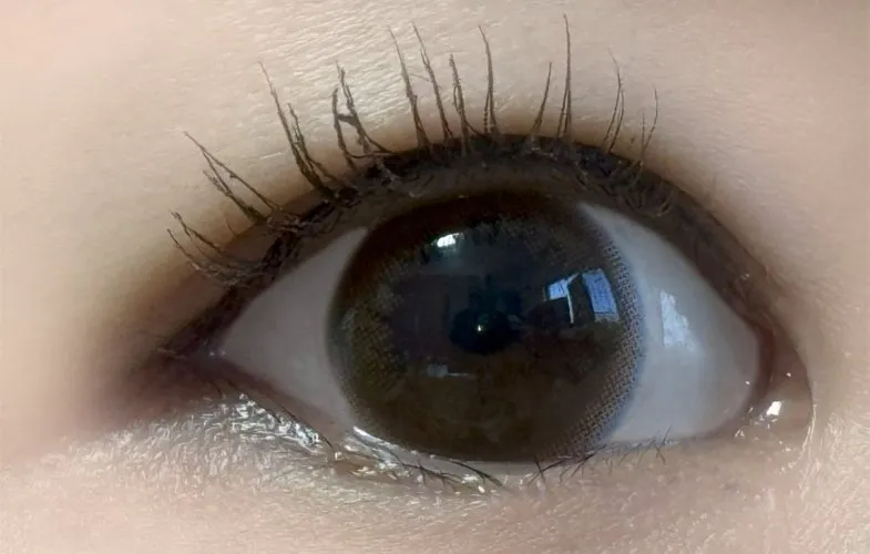 MOLAK 모라쿠 Tint Brown 틴트 브라운 착용 이미지
