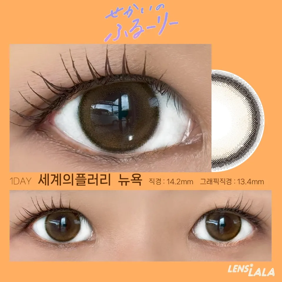 Flurry 세계의플러리 1day 뉴욕 컬러 렌즈