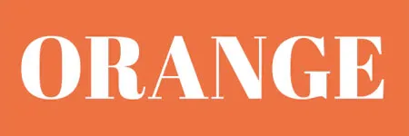 ORANGE-1.webp