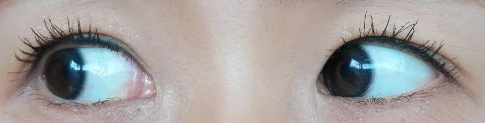 MEVILAGE 메빌라주 1day 블랙스완  렌즈착용 이미지