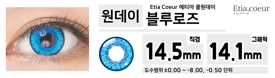 Etia Coeur 에티아 쿨원데이 1Day 블루로즈