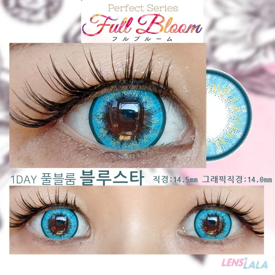 퍼펙트시리즈 풀블룸 블루스타 컬러 렌즈