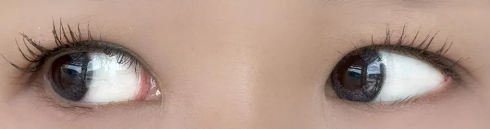 Ns COLLECTION 1DAY 엔즈컬렉션 코코넛 착용 이미지