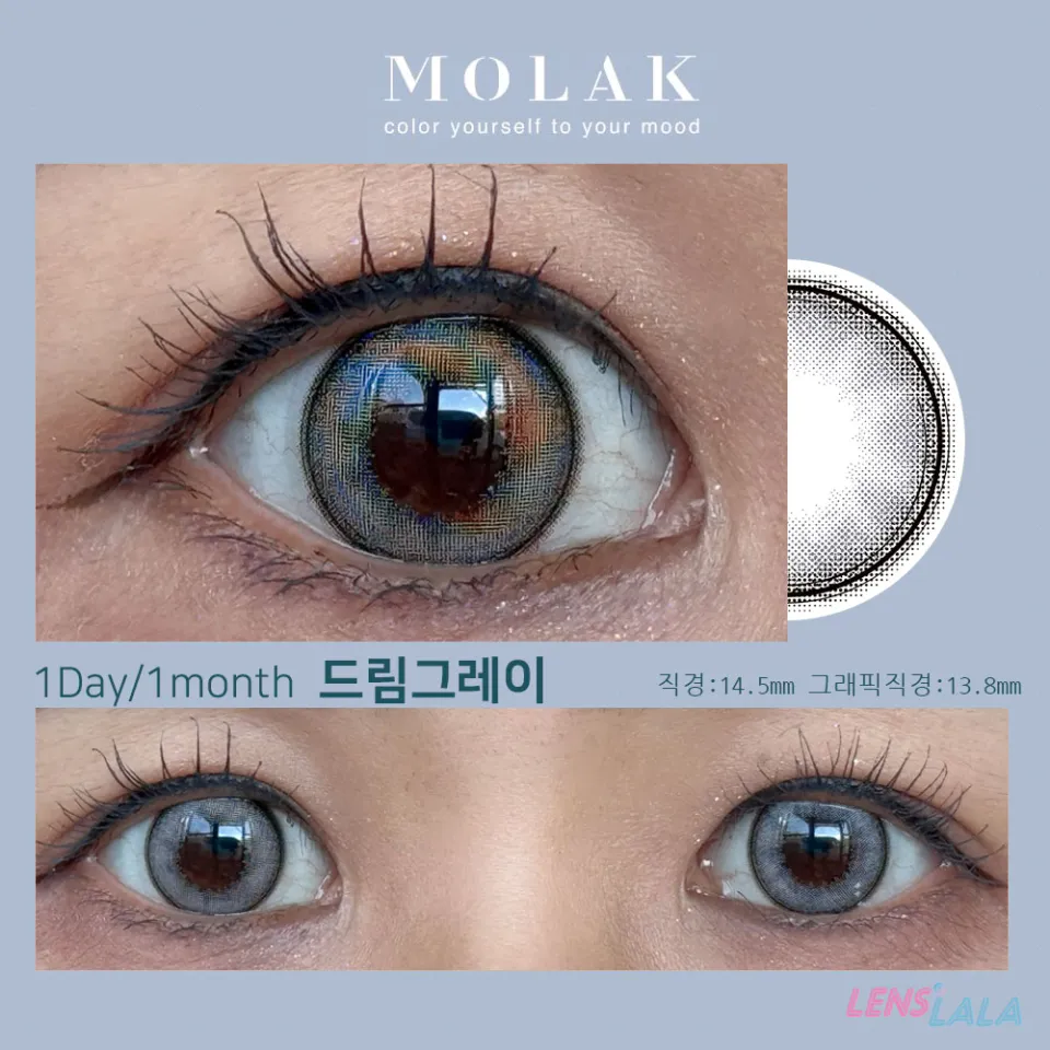 MOLAK 모라쿠 Twinkle Brown 트윙클 브라운 컬러 렌즈