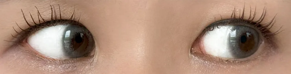 FAIRY NEUTRAL 앙뉘그레이 착용 이미지