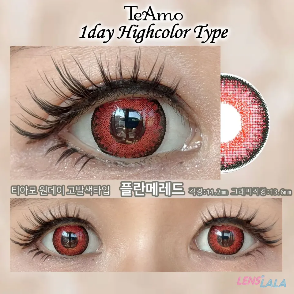Teamo 티아모 원데이 고발색타입 14.2mm 플란메레드 컬러 렌즈