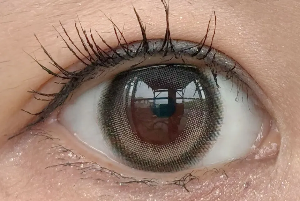 eyestar 아이스타 1day 아이코닉브라운 렌즈착용 이미지