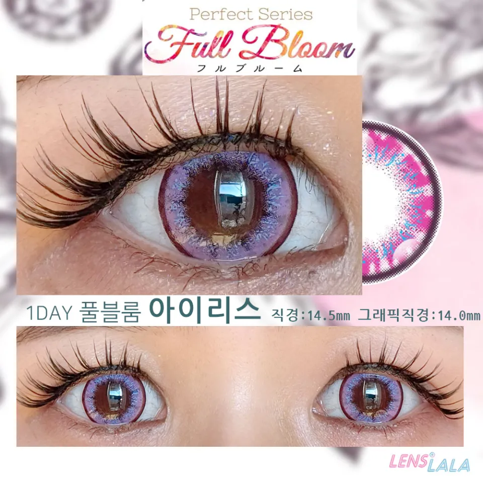 퍼펙트시리즈 풀블룸 아이리스 컬러 렌즈