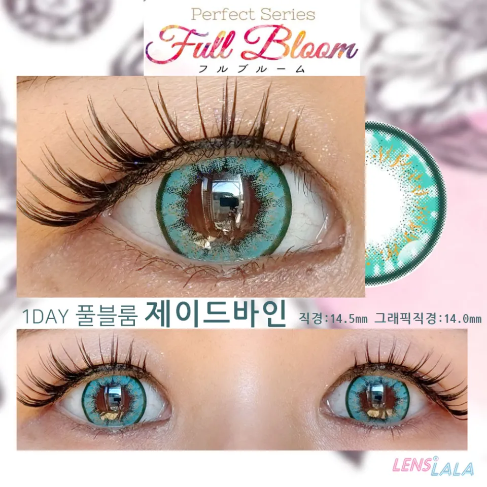퍼펙트시리즈 풀블룸 제이드바인 컬러 렌즈