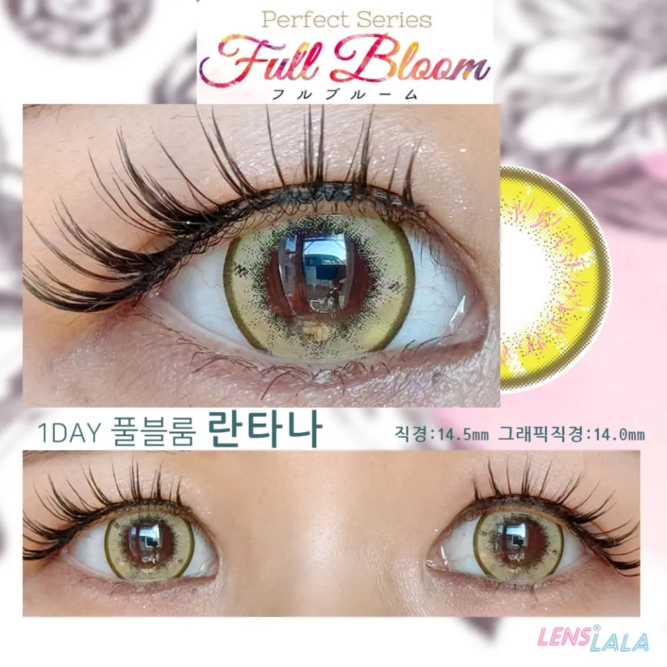 퍼펙트시리즈 풀블룸 란타나 컬러 렌즈