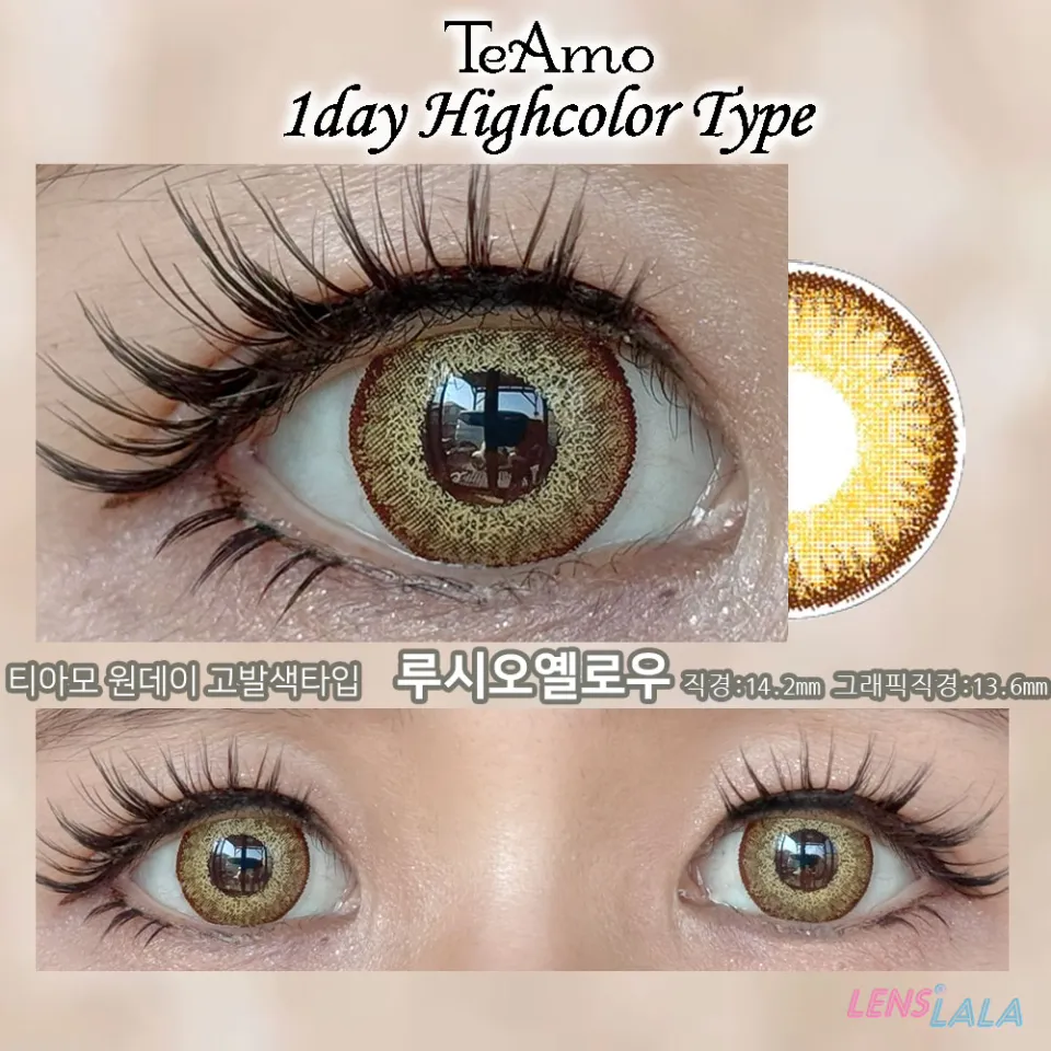 Teamo 티아모 원데이 고발색타입 14.2mm 루시오옐로우 컬러 렌즈