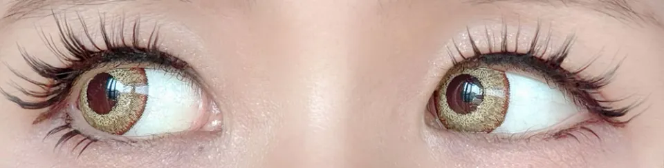 Teamo 티아모 원데이 고발색타입 14.2mm 루시오옐로우 렌즈착용 이미지