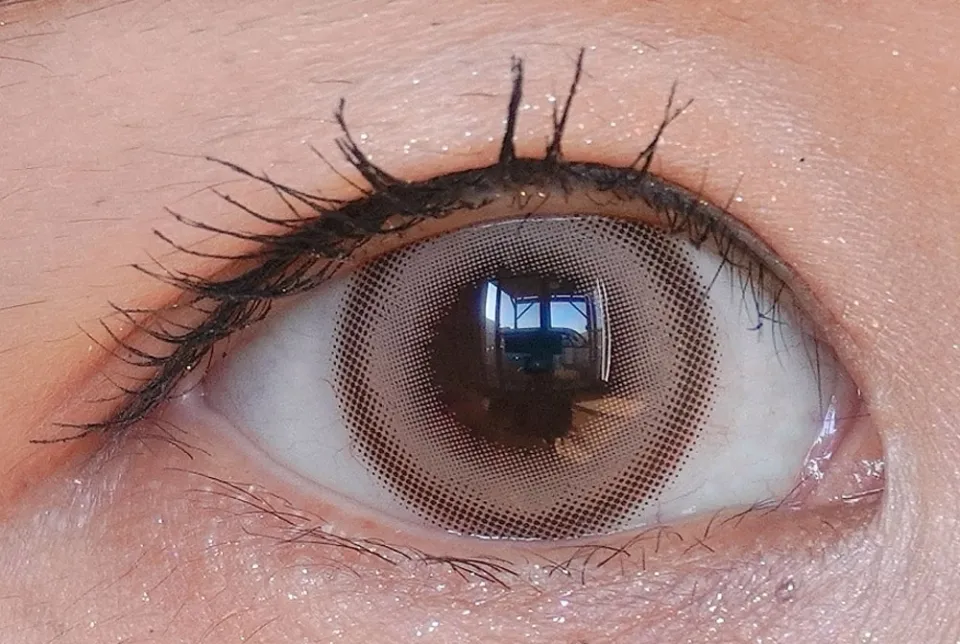 Eye Closet 아이클로젯 원데이 아쿠아모이스트UV 14.5mm 마카로니베이지 착용 이미지